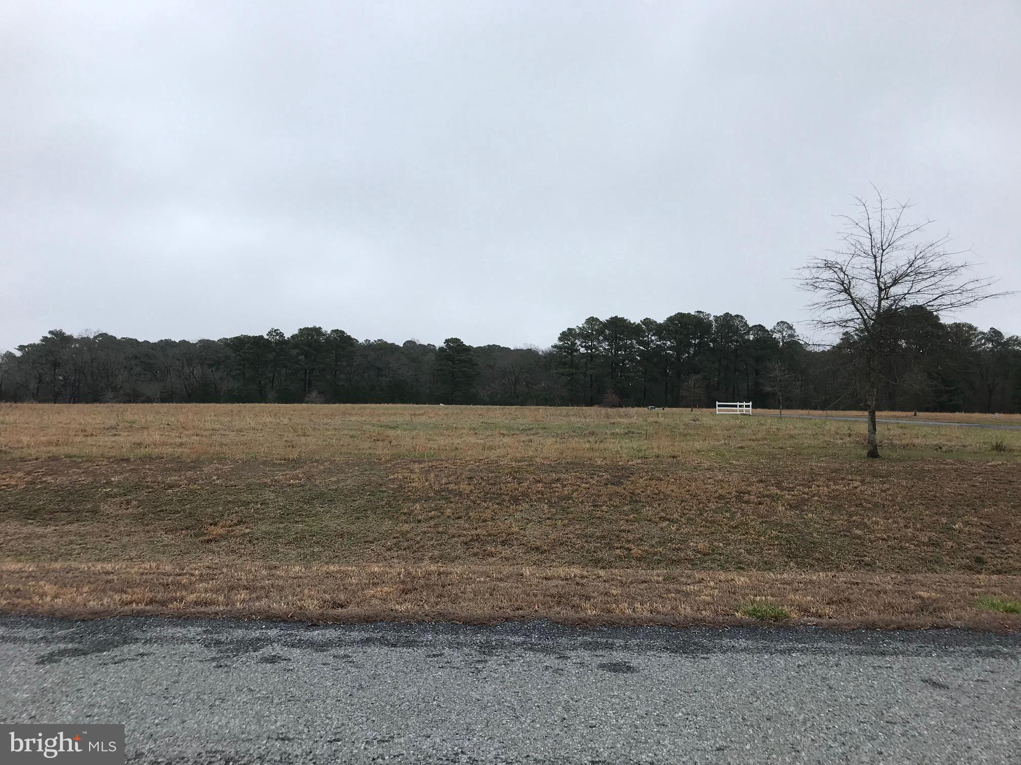 EAST NEW MARKET - Land