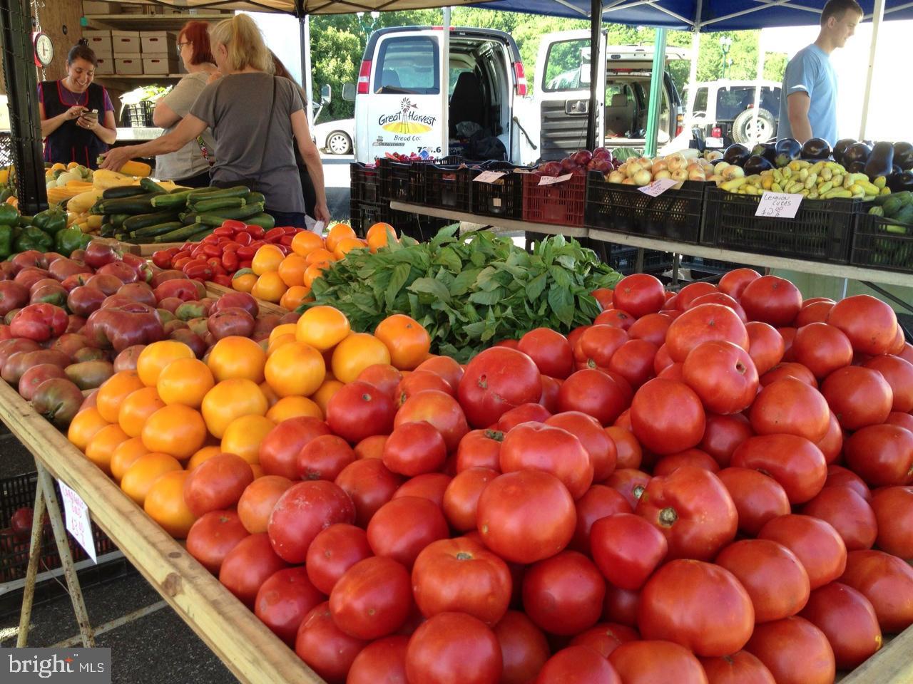 CAMERON STATION - Residential Lease