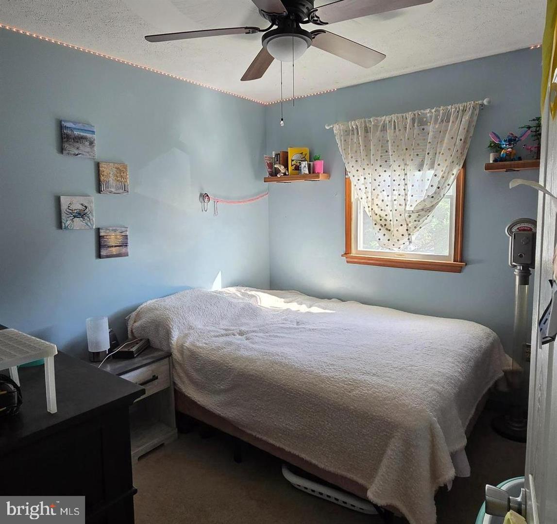 1047 CELESTE DRIVE