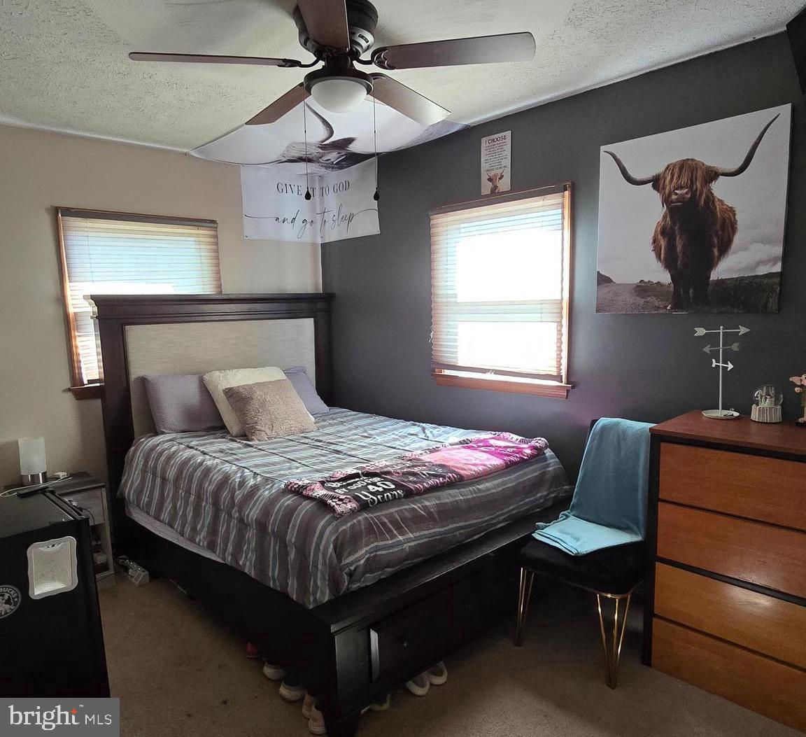 1047 CELESTE DRIVE