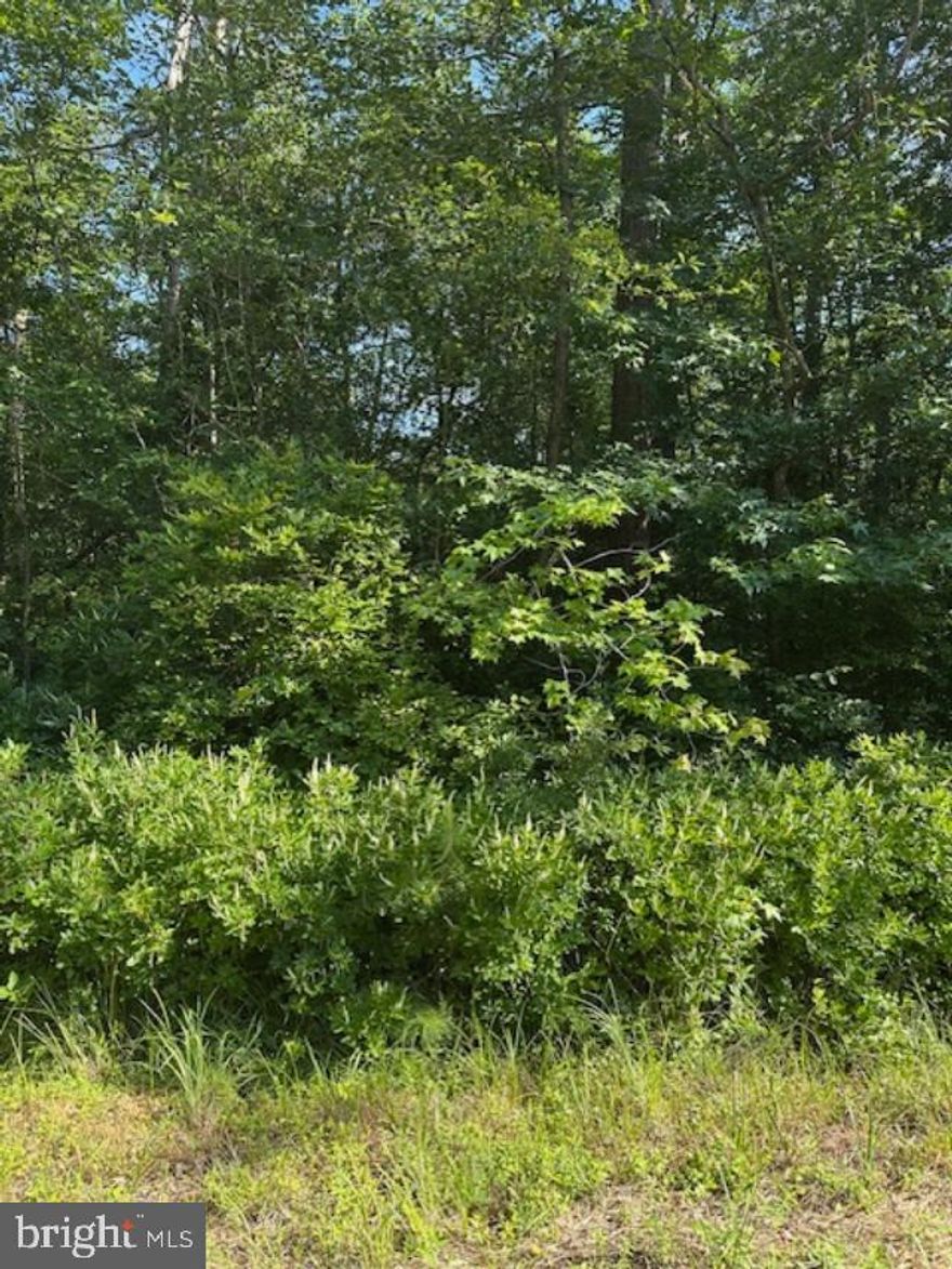 Very nice flat buildable lot located in Placid Bay Estates.
