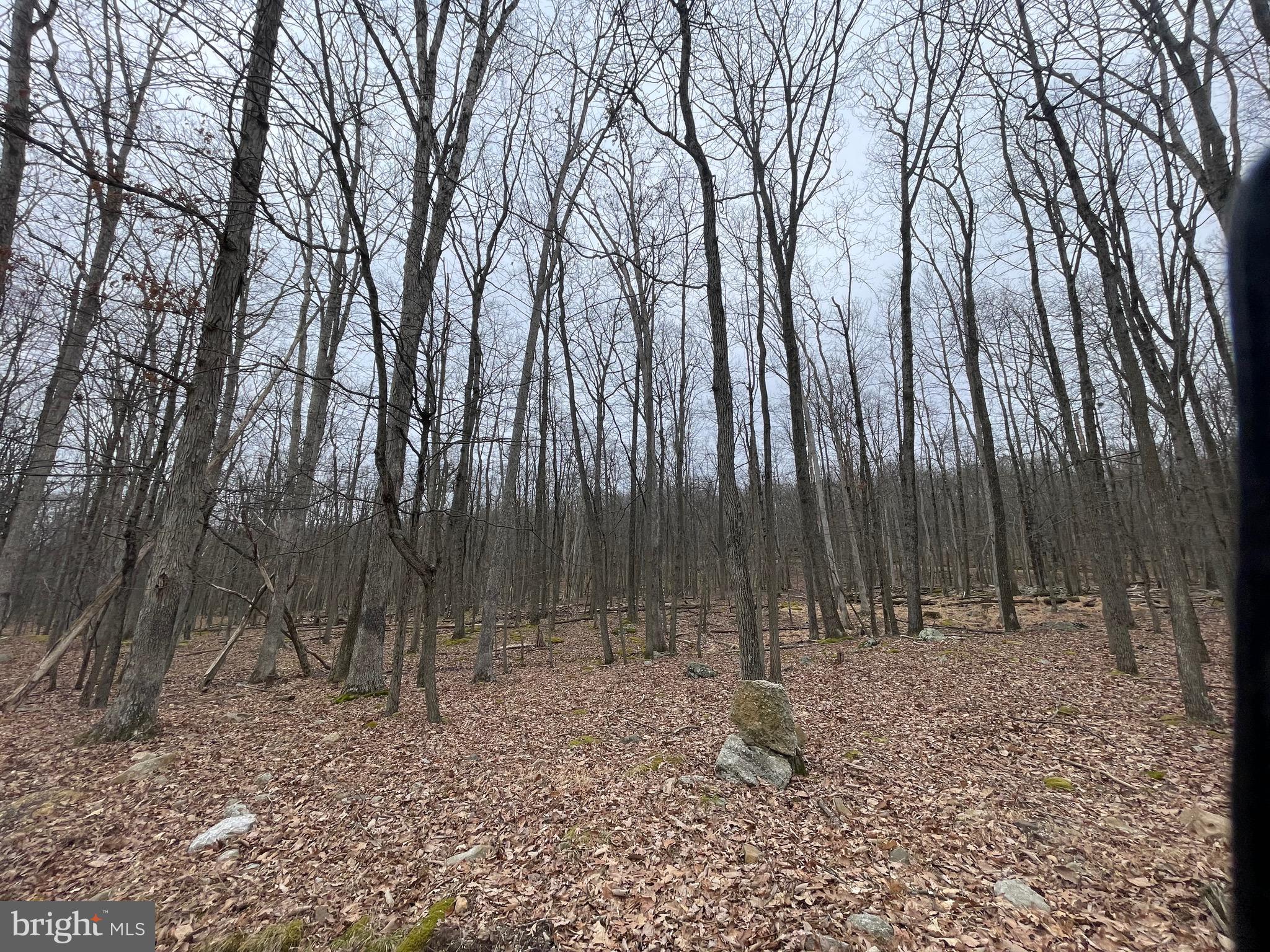 1.2 acre lot on a low traffic street near the edge of the COVE VILLAGE COMMUNITY! These are two adjoining lots being sold together. The dues, capital contribution fee, and transfer fee included with the listing reflect this. Looking for more privacy? Carve out your own piece of heaven by purchasing some of the 4 additional adjoining lots! Whether you've been imagining building a second home or just waiting to build that forever home, WAIT NO MORE! Haystack Drive is bordered by hundreds of acres of undeveloped private land making it a tranquil retreat. The Cove Village Community is situated in the foothills of the Poconos and only 1 1/2 hours to New York, With easy access to I-81 your commute to Hazleton, Wilkes Barre, or Scranton is a breeze. Another cost-saving perc of the community is having public water and sewer already in place and ready for you to connect through Aqua of Pa. 750 acres of unoccupied prime hunting, ATV, and snowmobile riding land surround the residential portion of Cove Village and is allocated only for the residents of the community and their guests! Driving through the community, the peace and tranquility will envelop you. At any given moment the deer, turkey, and birds will entertain you in your own backyard. Homes within the community vary from rustic cabins and chalets to traditional ranch or two-story homes and even exquisite new construction or dreamy mountain log homes. There really is something for everyone. The approximately 278 acres of residential homes and lots are occupied by full-time residents, part-time vacation homes, and even some snowbird second homes. Cove Village offers an abundance of amenities including a swimming pool, stocked fishing lake, a basketball court, tennis courts, a volleyball court, 2 playgrounds, a baseball field, ATV paths, hunting, a mini golf course, walking paths, and year-round Community events. I can't forget to mention the beautiful lodge ideal to rent for family gatherings. This lot and community just might be exactly what you've been looking for. Air B and B are not permitted. Camping on vacant lots is not permitted. Mobile/Manufactured homes are not permitted. Modular and custom built homes with the builder of your choosing are permitted. All homes must meet the minimum square footage requirements of 1400 square feet. The community maintains the roads and snow removal. Trash collection is also provided. Lot is part of a large subdivision and acreage is an estimate based on similar lots. Actual acreage will be provided in the legal description at closing. An appointment is required to view due to the gated community. Call to schedule your tour today!