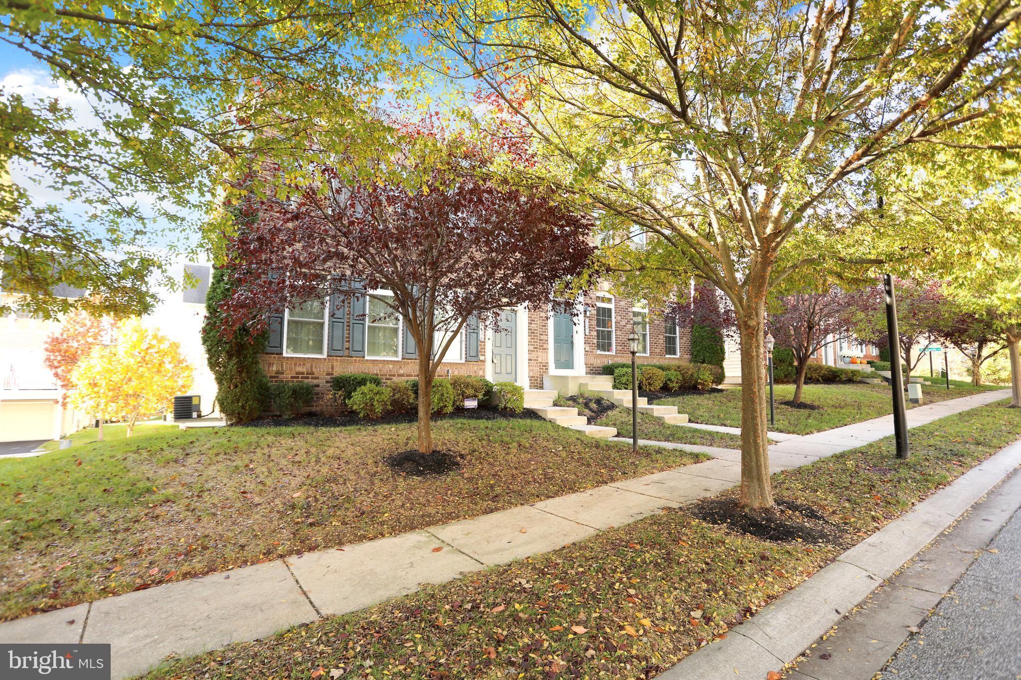 MEADOWVALE - Residential Lease