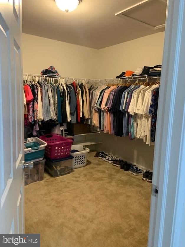 EAST VILLAGE - Residential Lease