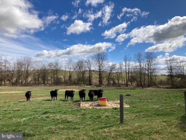 NONE AVAILABLE - Farm