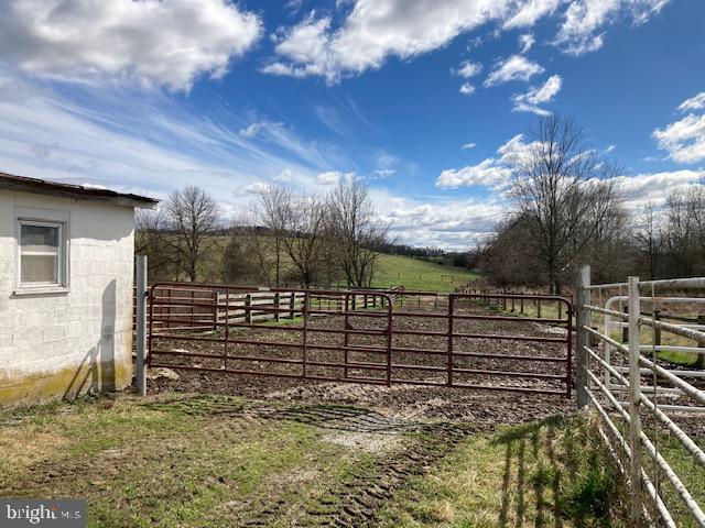 NONE AVAILABLE - Farm