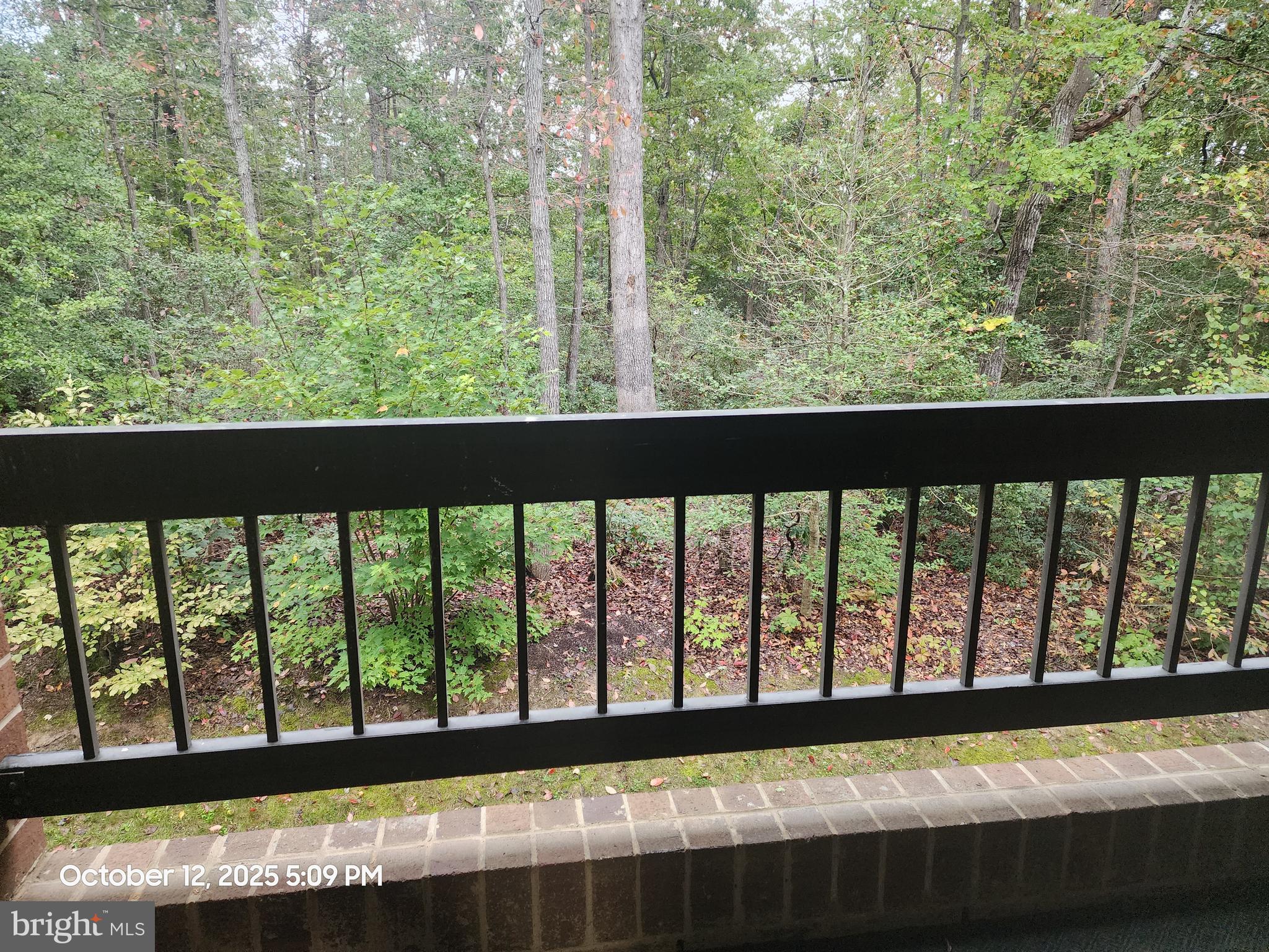 ORCHID PARK OF WILDEWOOD - Residential