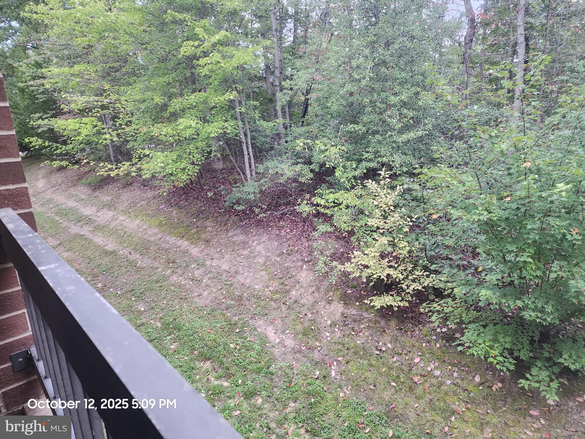 ORCHID PARK OF WILDEWOOD - Residential