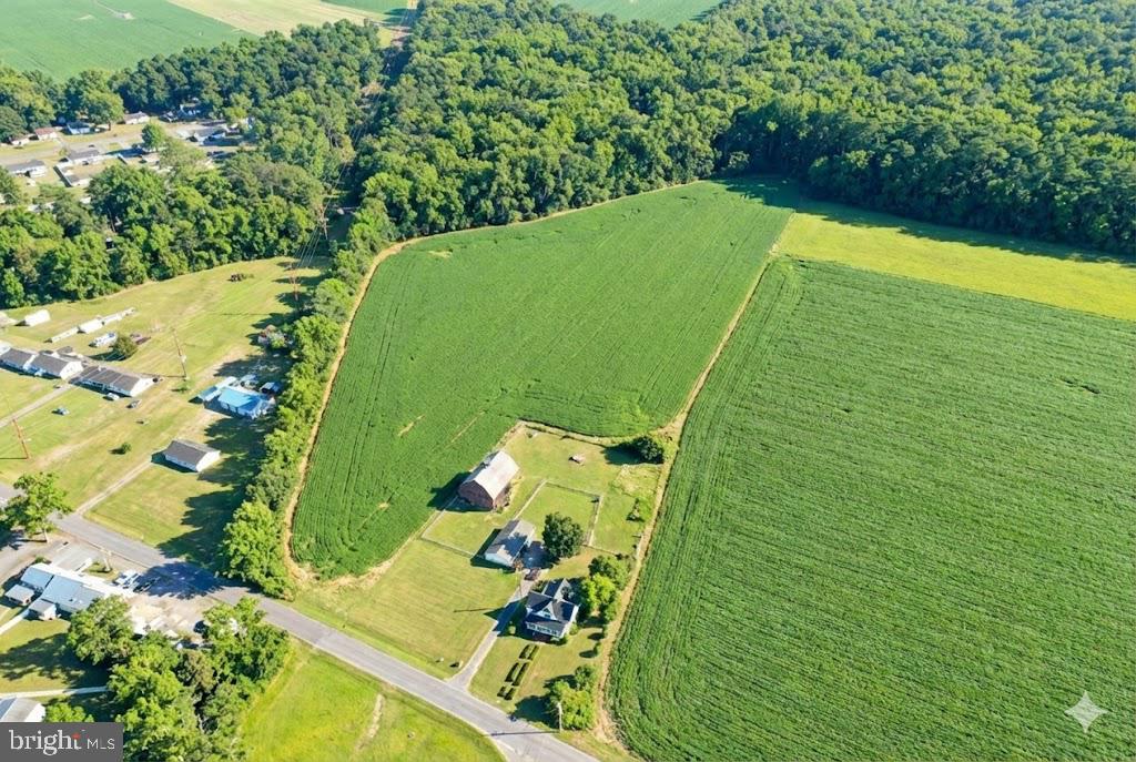 210 CHESTNUT TREE ROAD