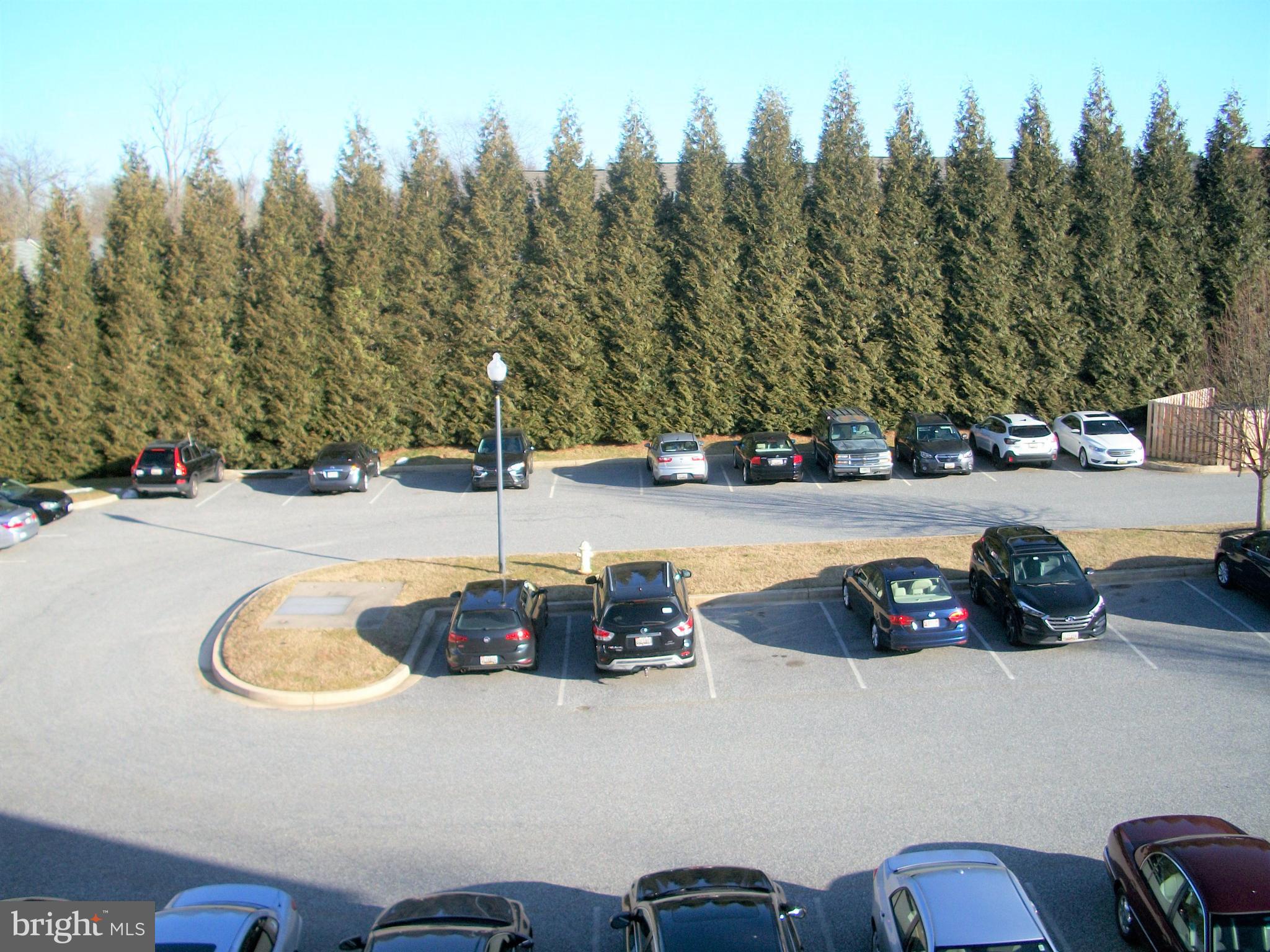 IRWINS CHOICE - Residential Lease