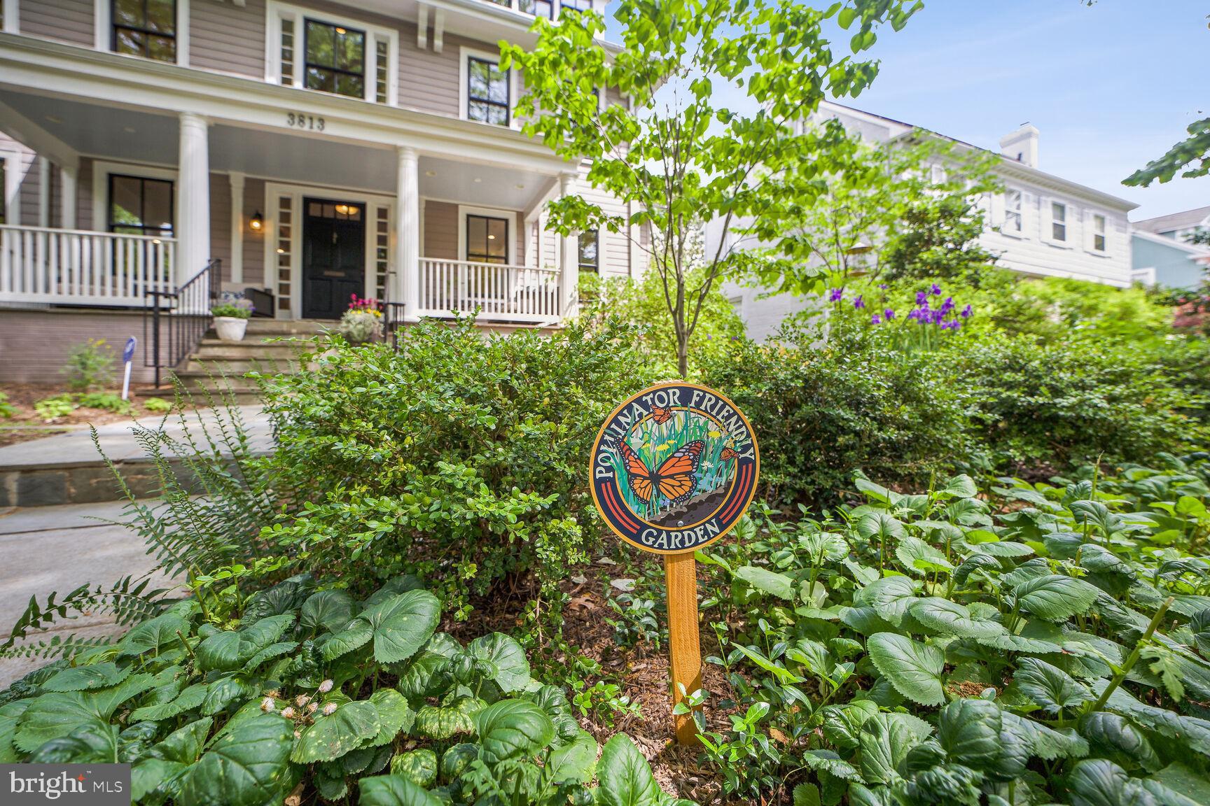 CHEVY CHASE - Residential