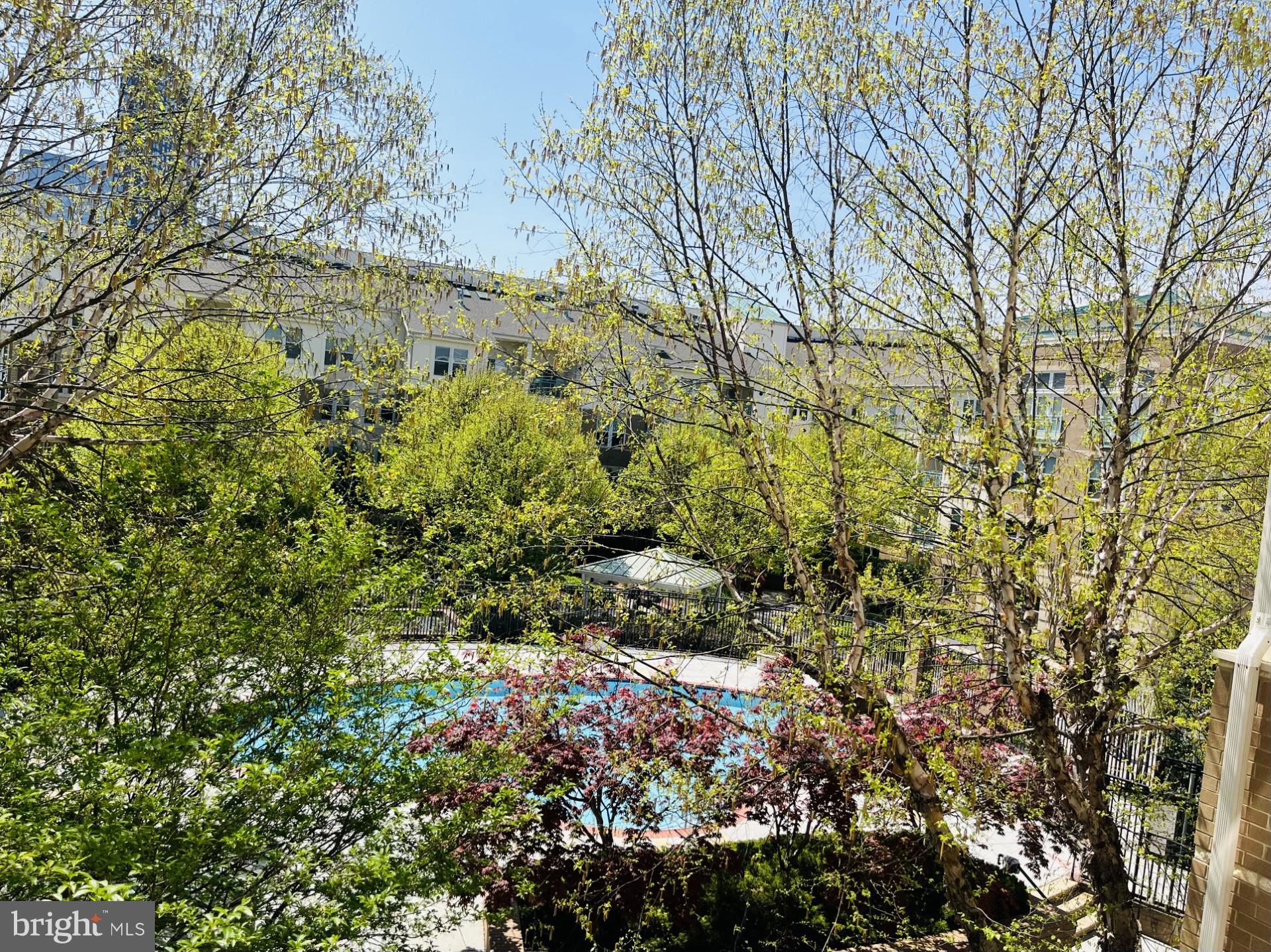 SAVOY AT RESTON TOWN CENTER - Residential