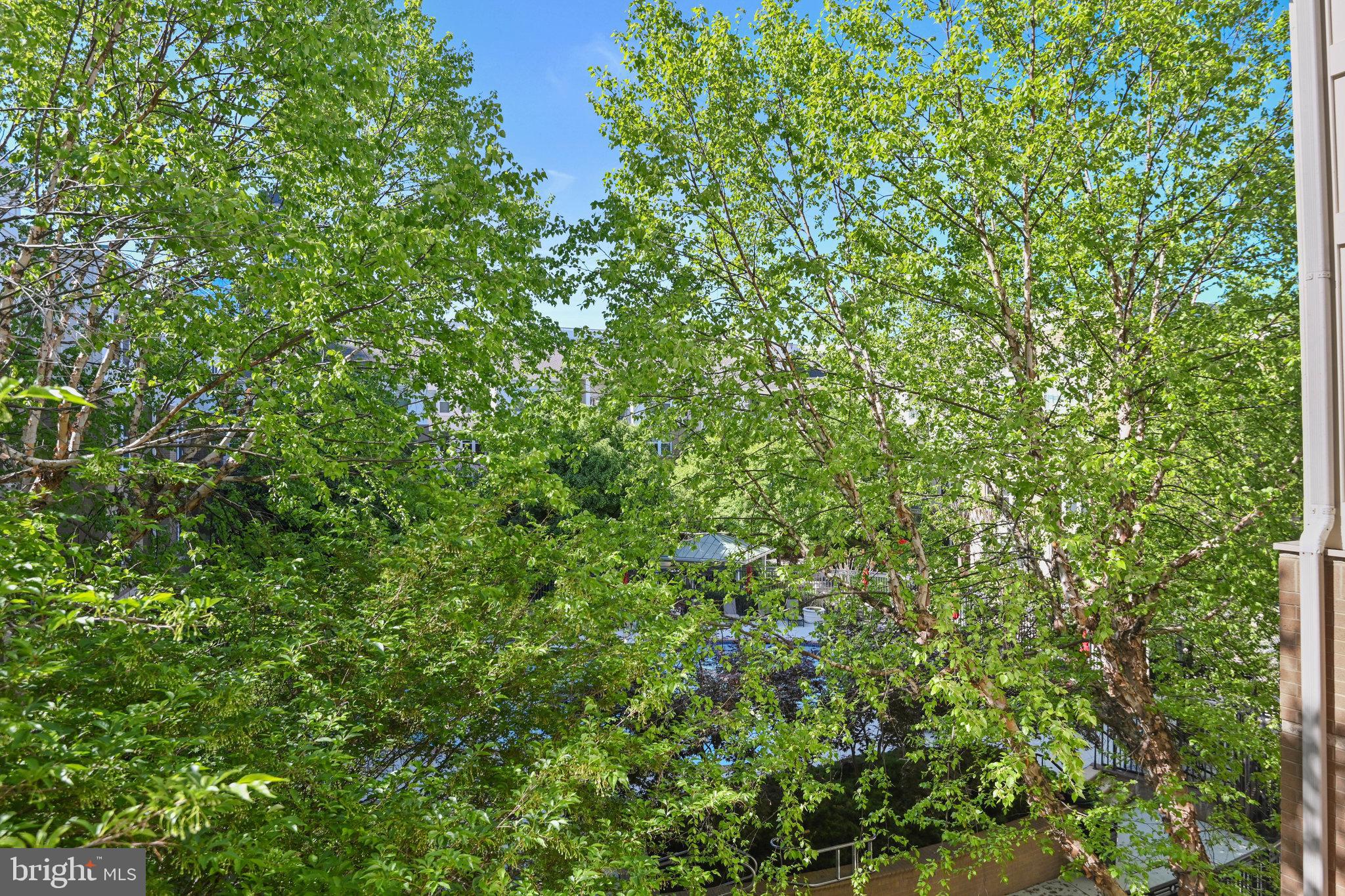 SAVOY AT RESTON TOWN CENTER - Residential