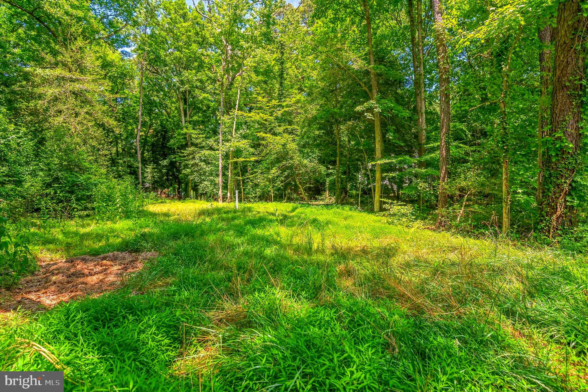 DRUM POINT - Residential