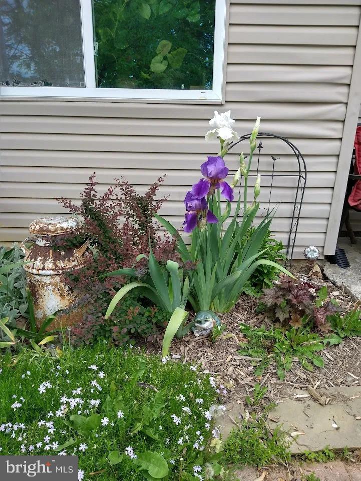 WALNUT GROVE - Residential