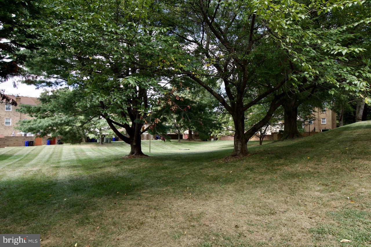 PINECREST HEIGHTS - Residential