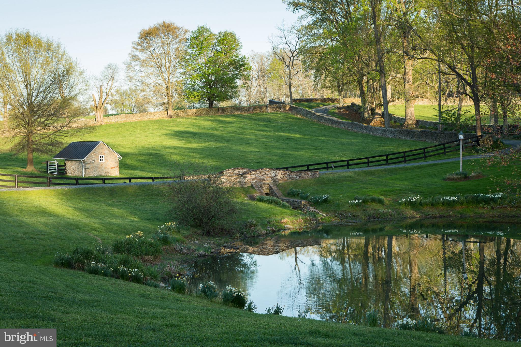 22857 CARTERS FARM LANE