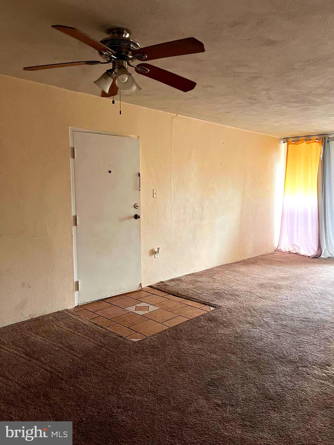 2311 FOREST LANE C-5