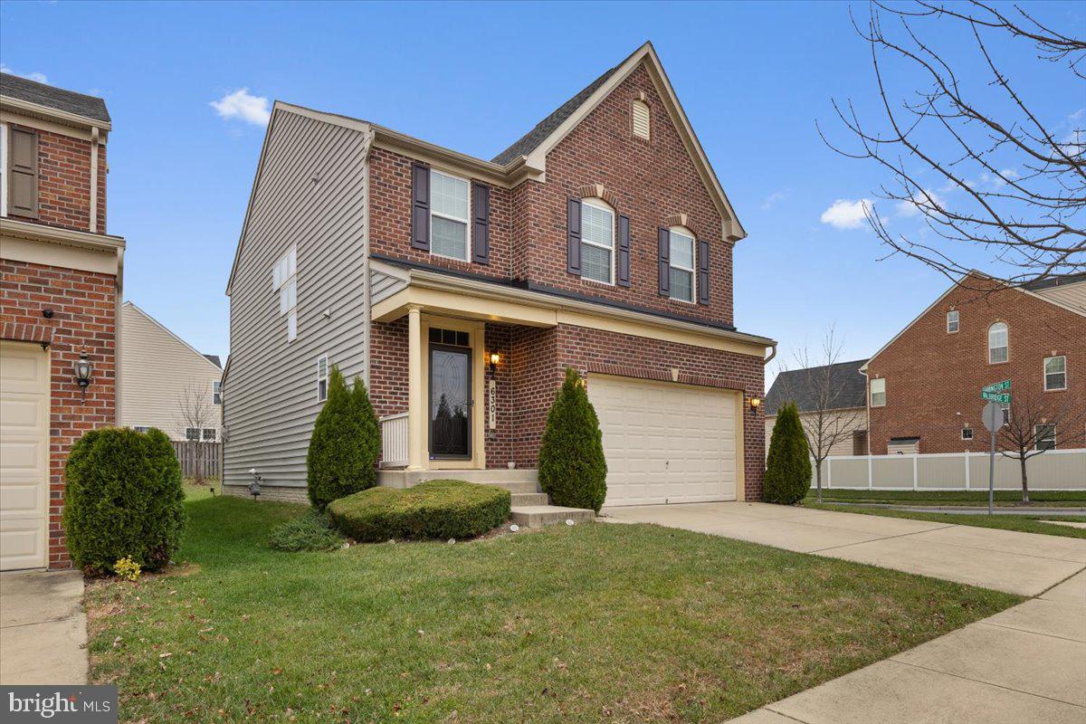 BRIGHTON PLACE - Residential