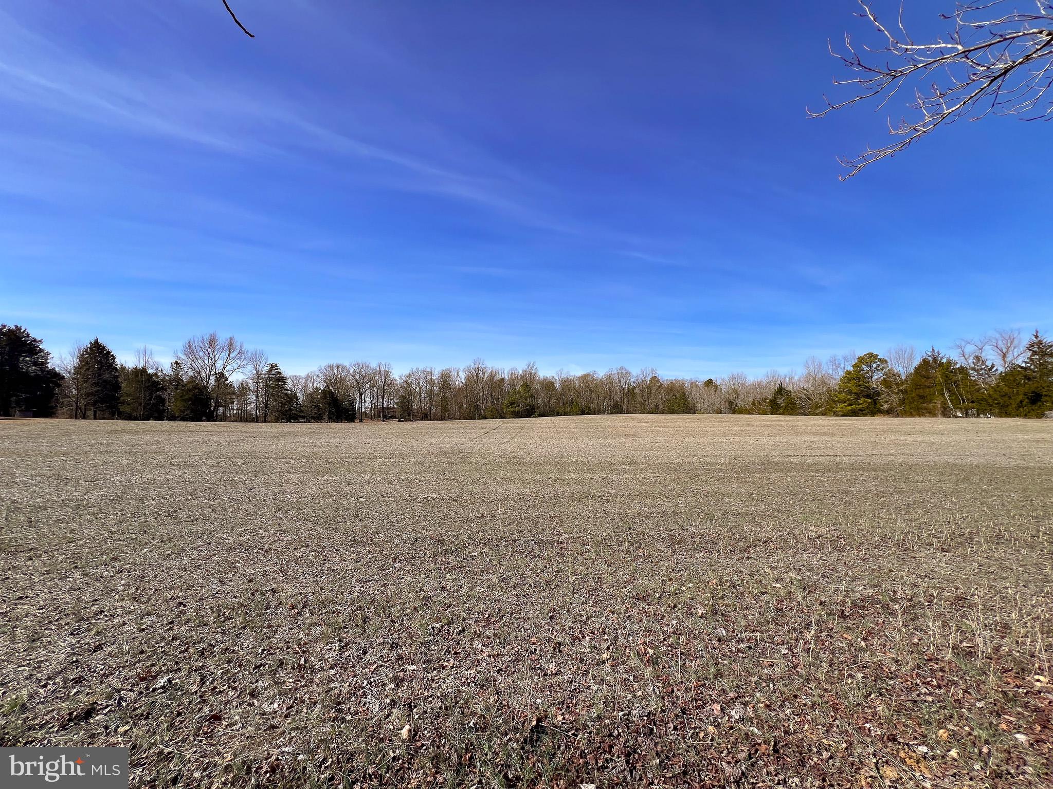 49.26 Acres JERICHO ROAD