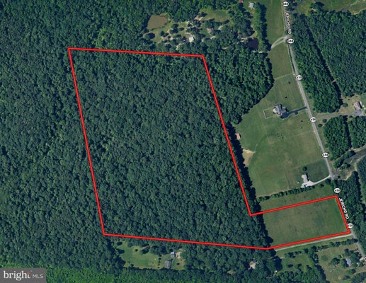 JERICHO RD, RUTHERGLEN, VA 22546 - Image 607a82bab604bbf060a0f47a1a2a020a/712875152