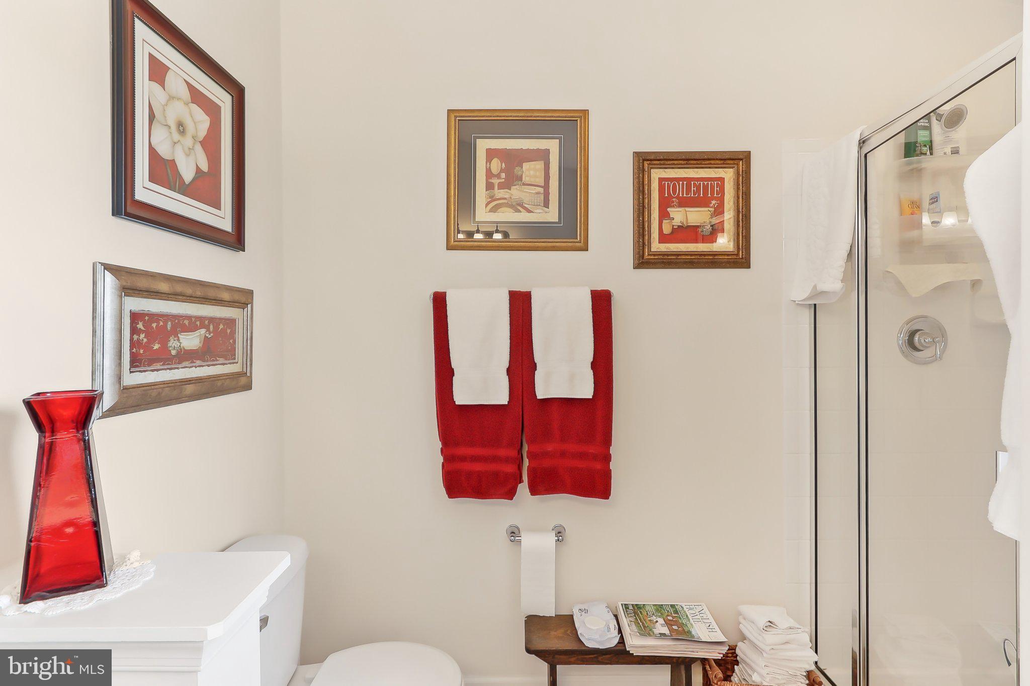 LOVETTSVILLE TOWN CENTER - Residential