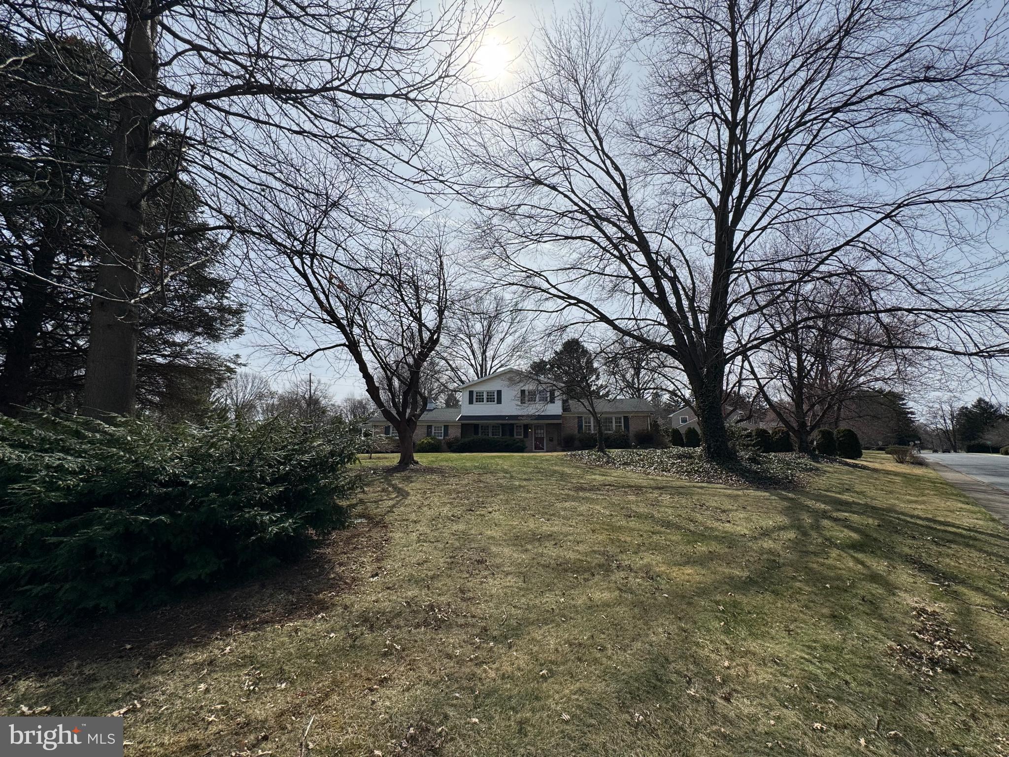 500 BELVEDERE STREET