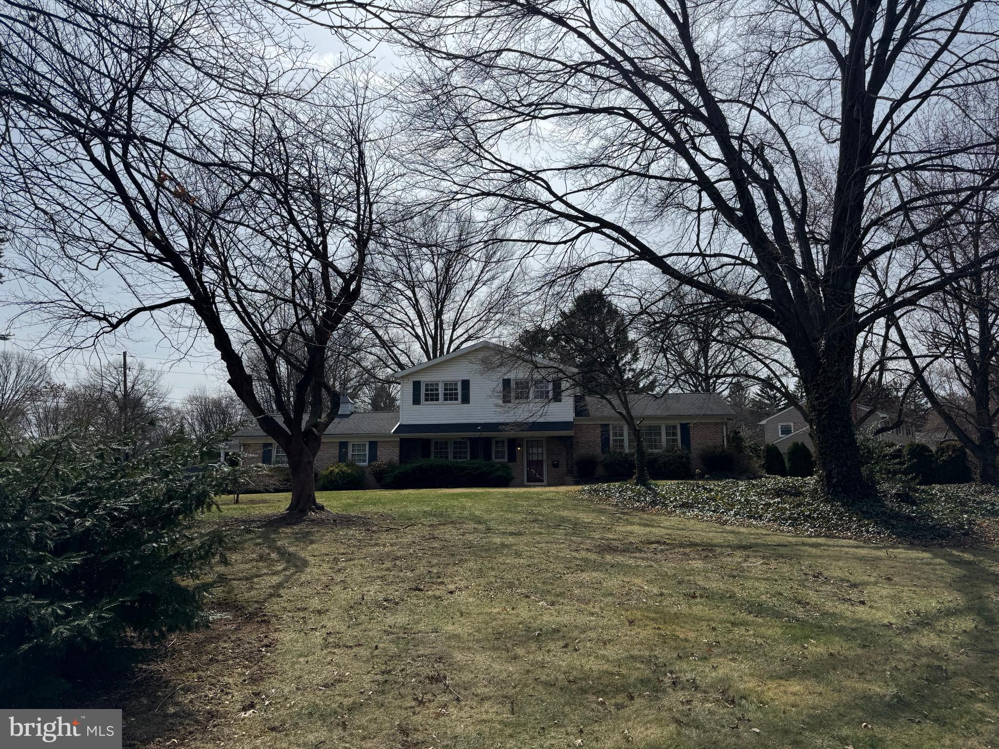 500 BELVEDERE STREET