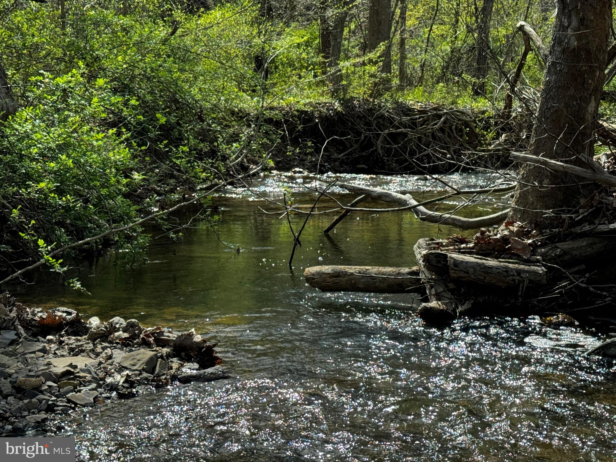 FOXWOOD KNOLLS - Residential