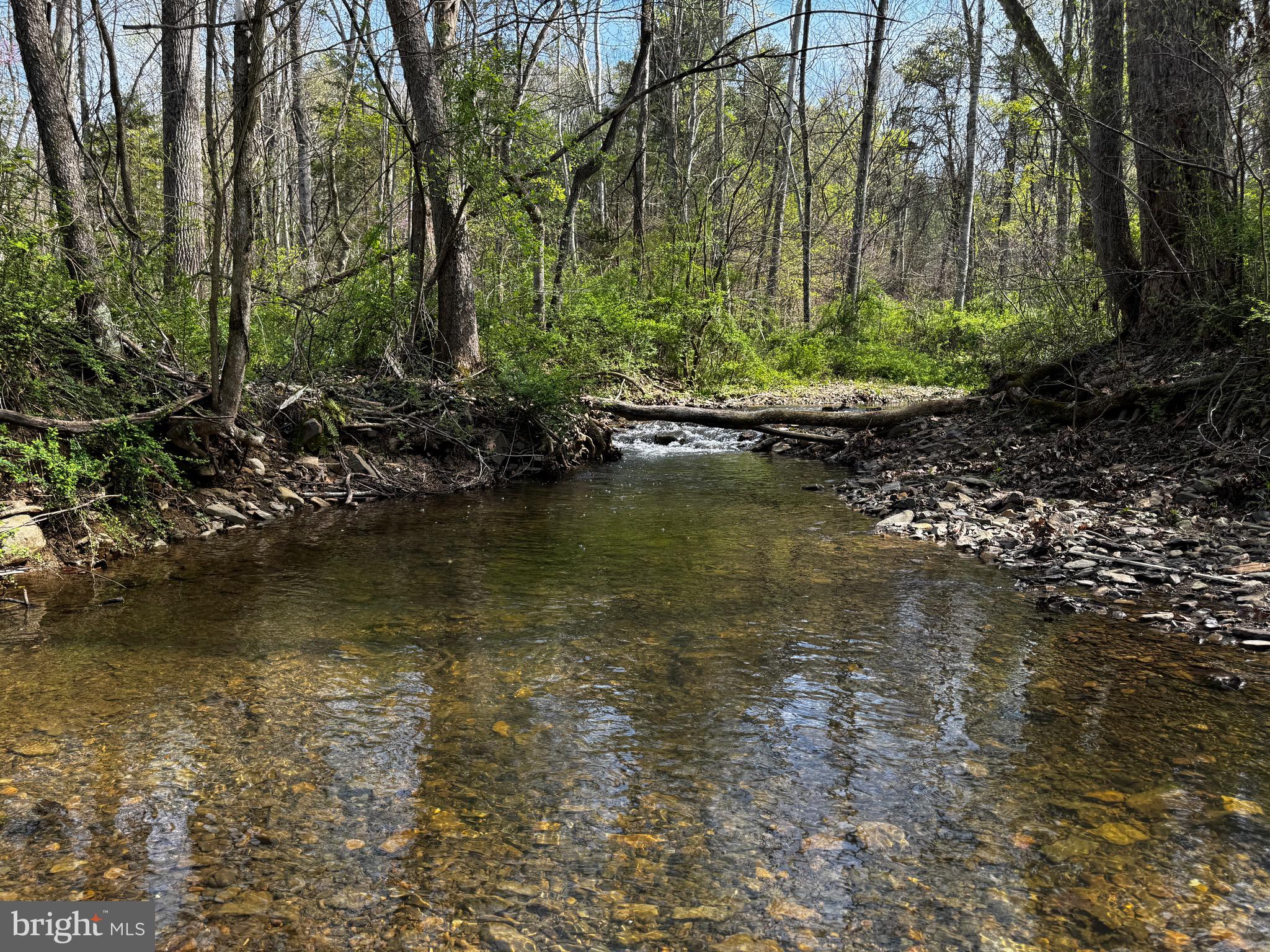 FOXWOOD KNOLLS - Residential