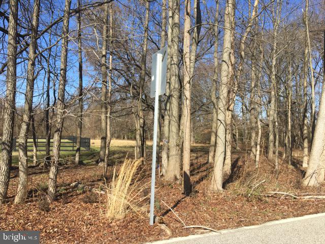 ARBUTUS BANKS - Residential