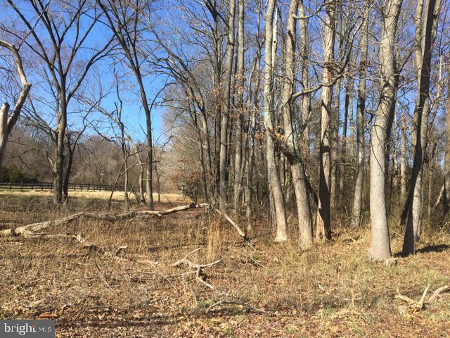 ARBUTUS BANKS - Residential