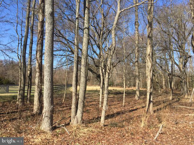 ARBUTUS BANKS - Residential