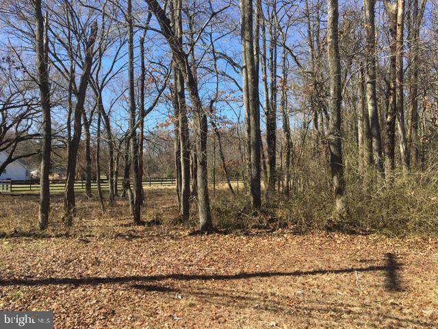 ARBUTUS BANKS - Residential