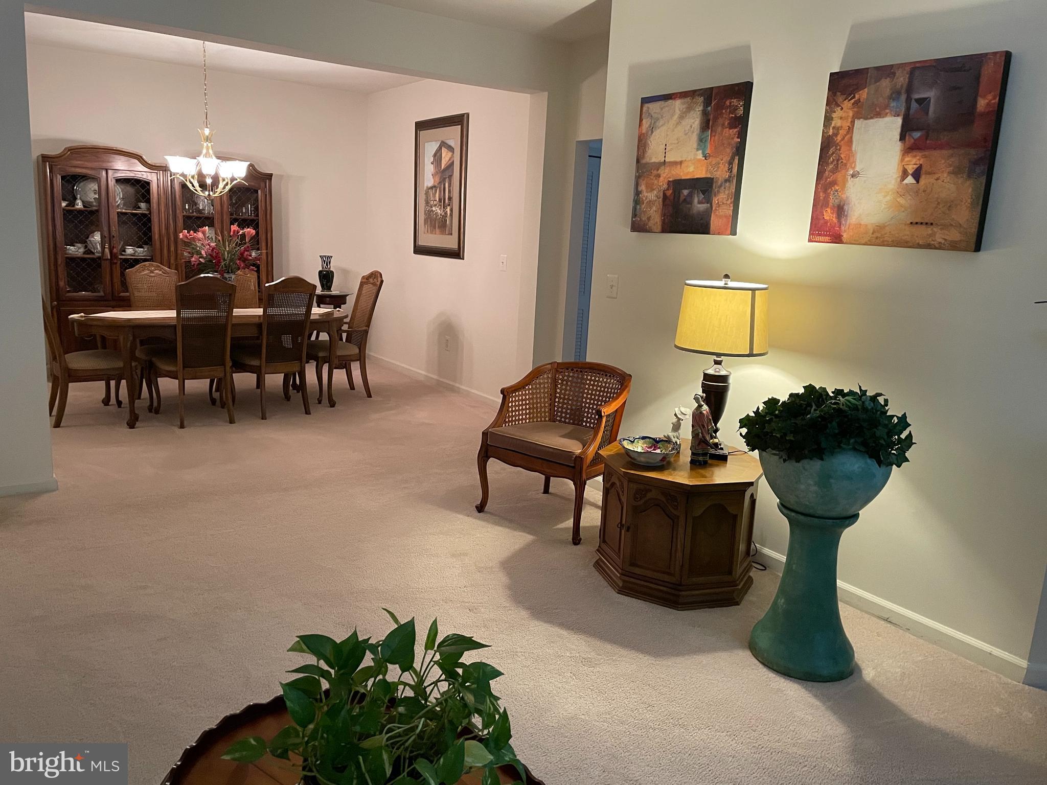 VILLAGE AT MILL RUN - Residential