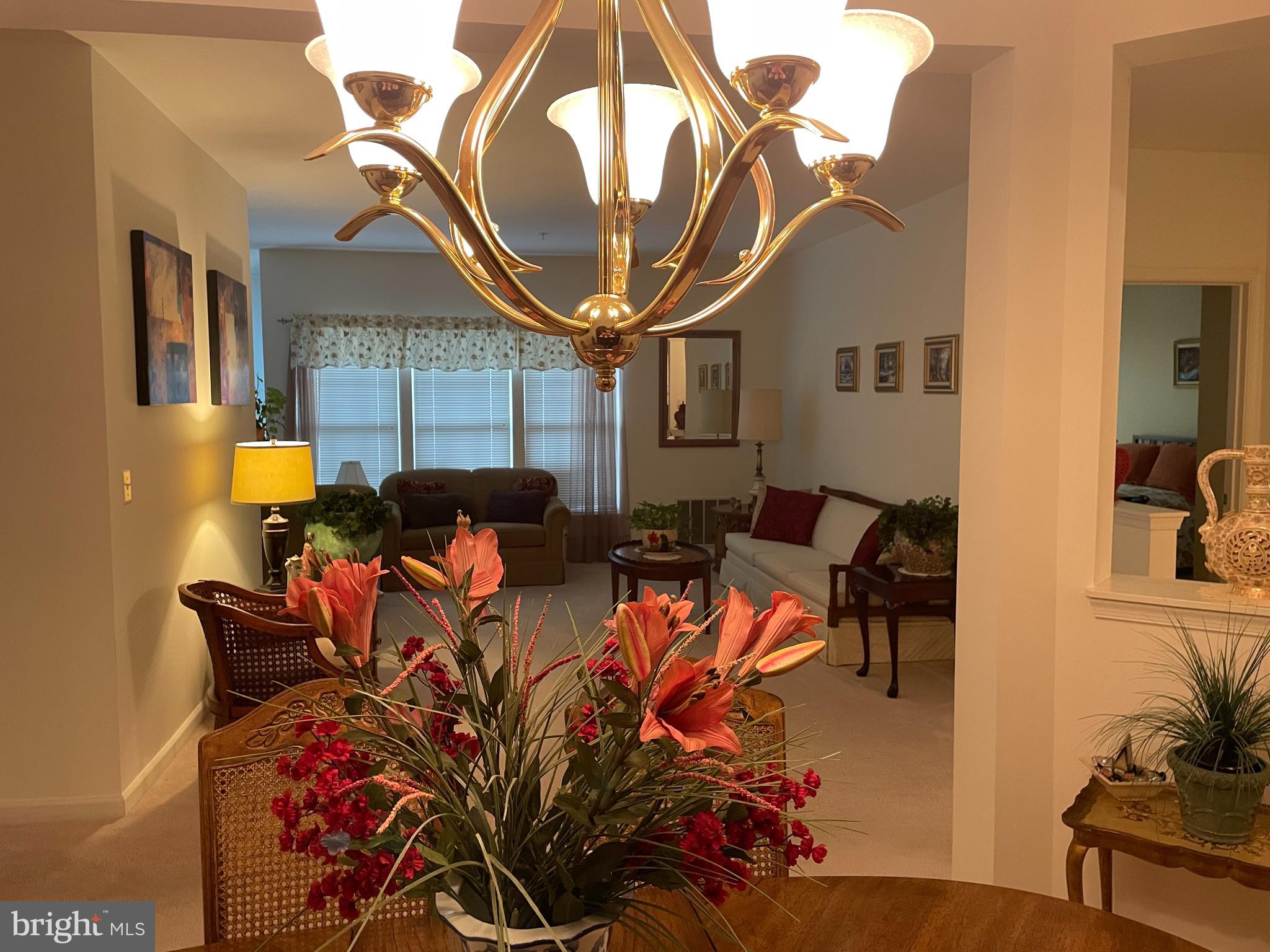 VILLAGE AT MILL RUN - Residential