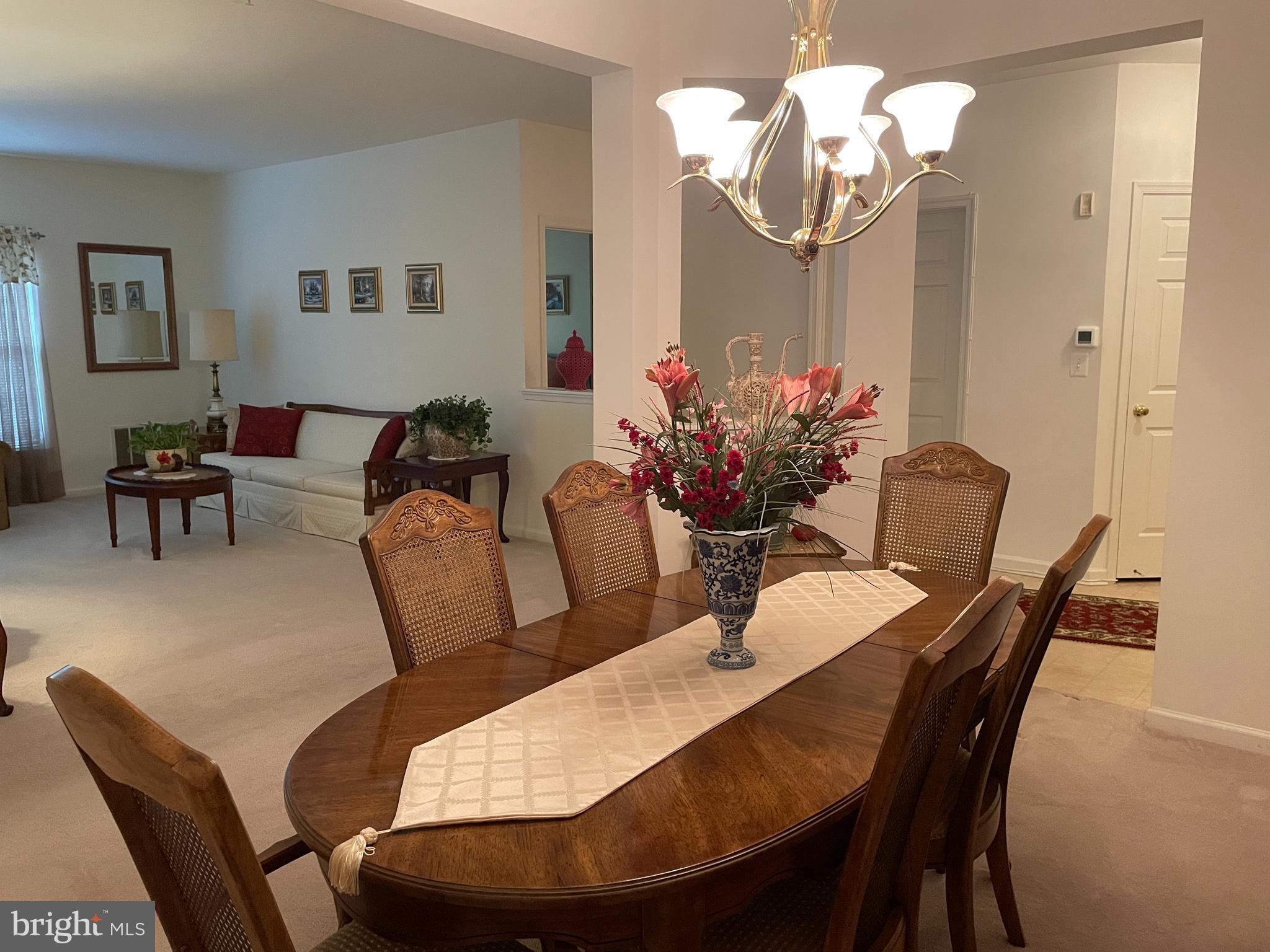 VILLAGE AT MILL RUN - Residential