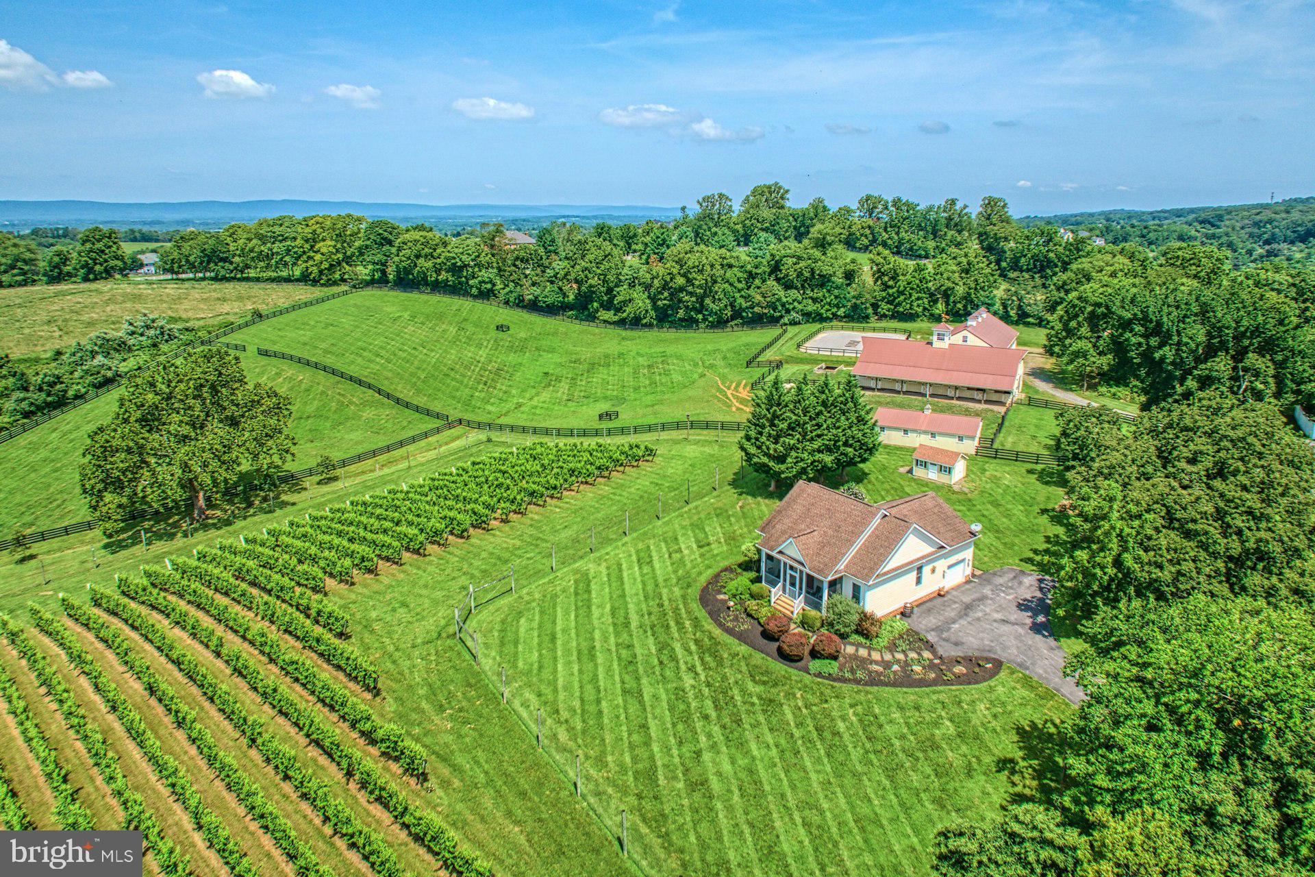 BEACON HILL - Residential