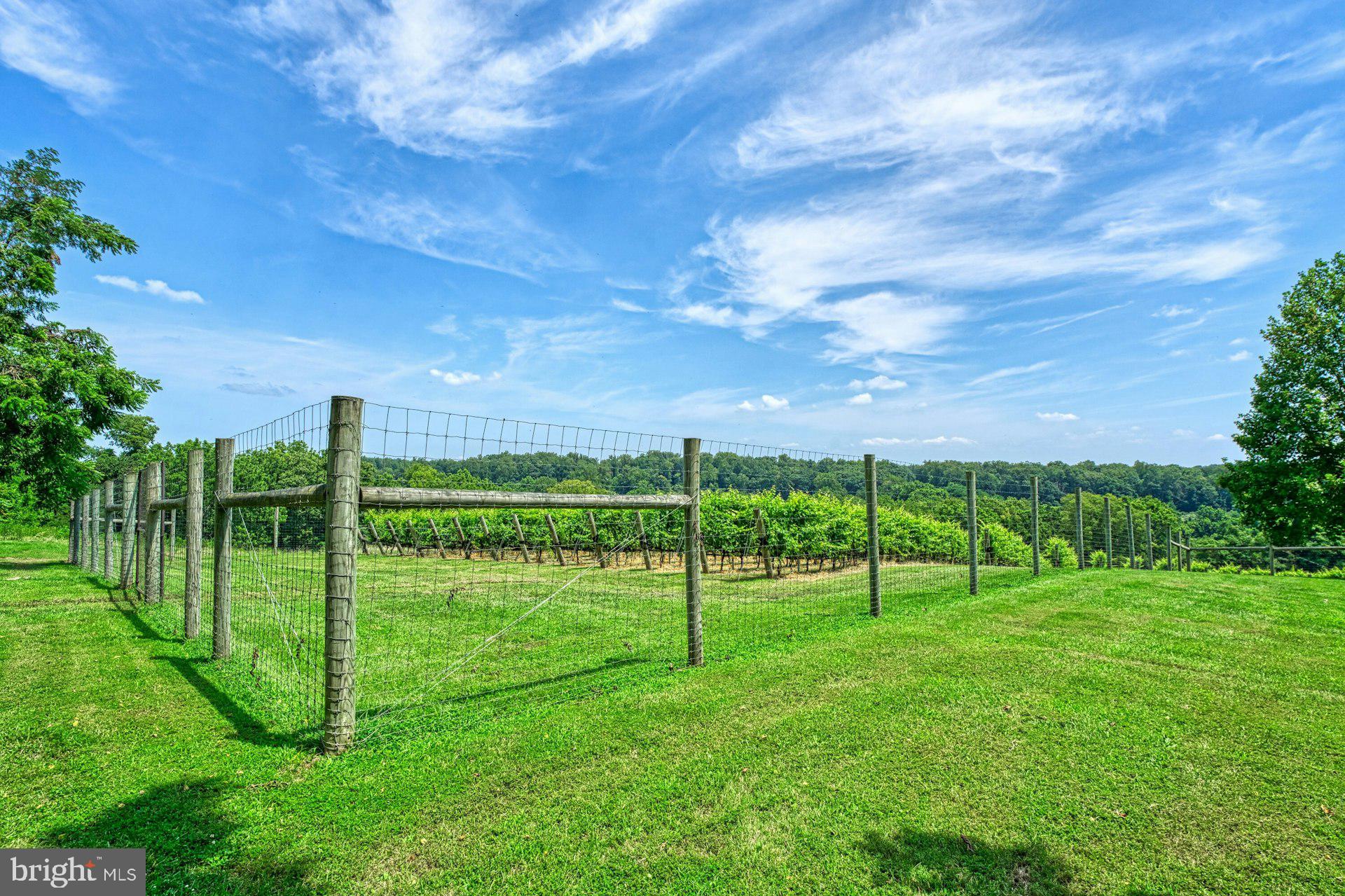 BEACON HILL - Residential