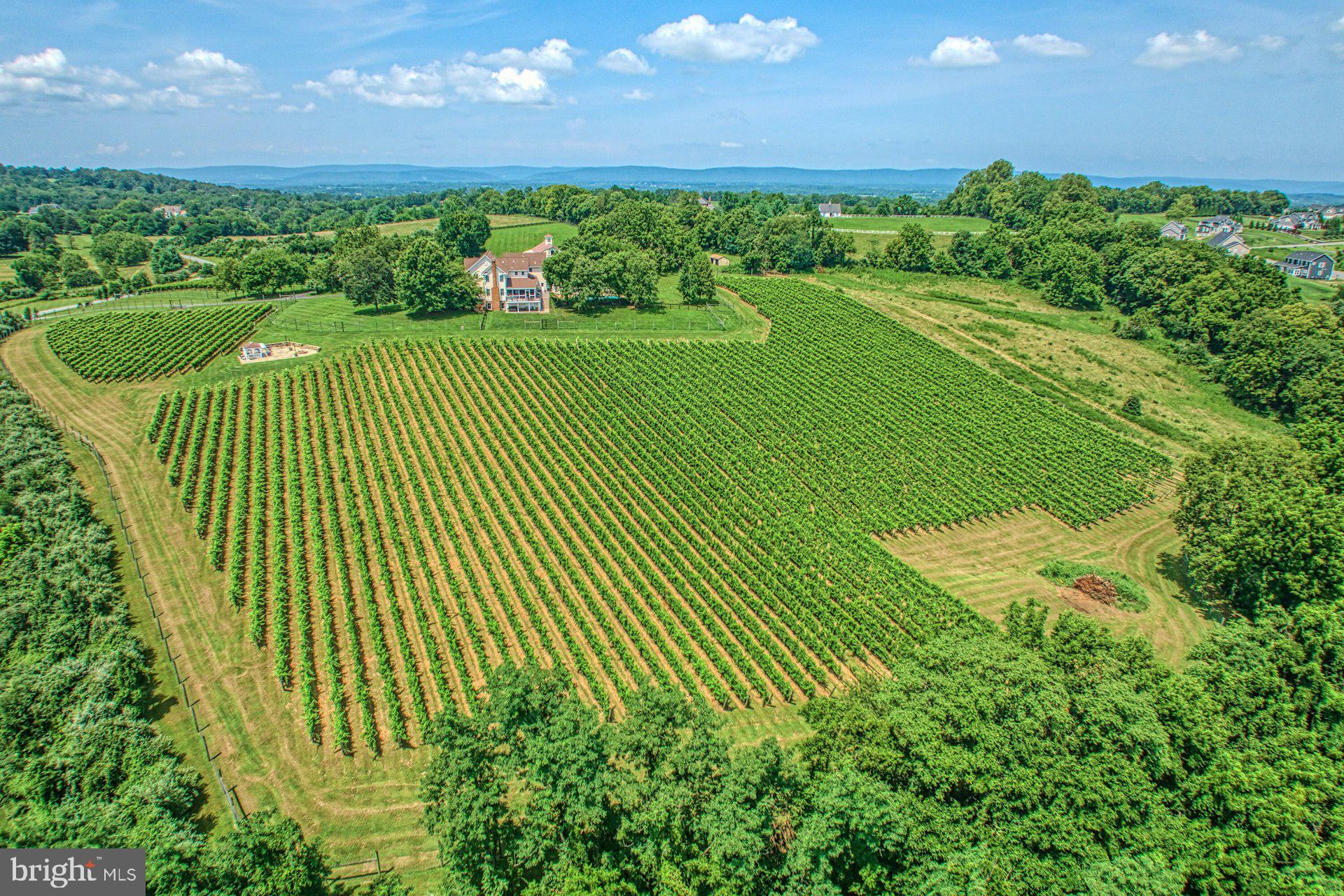 BEACON HILL - Residential