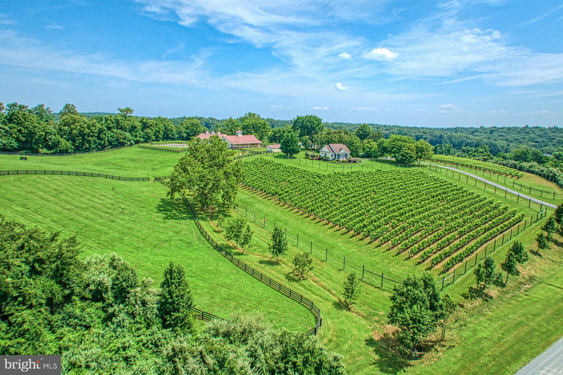 BEACON HILL - Residential