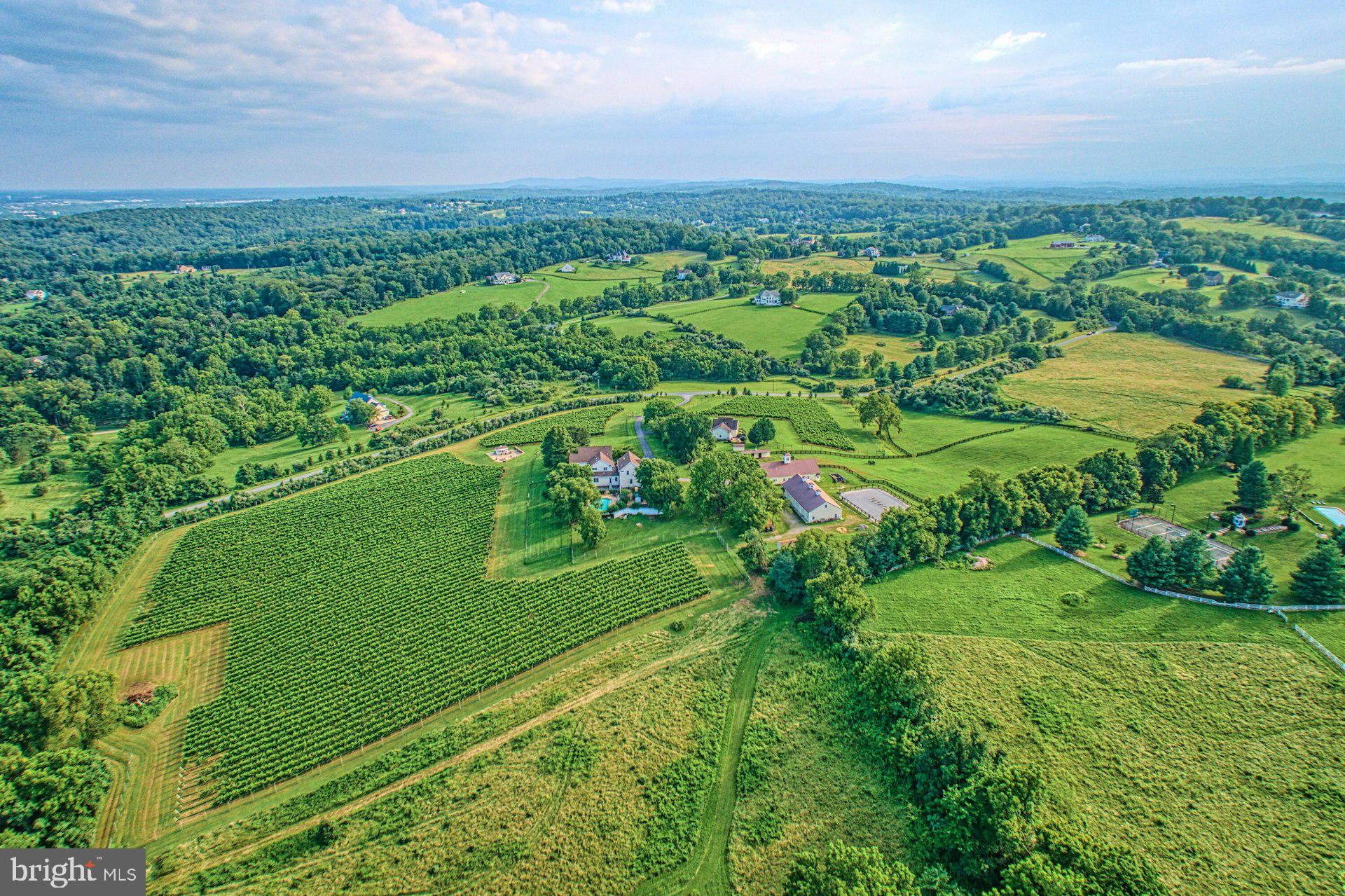 BEACON HILL - Residential