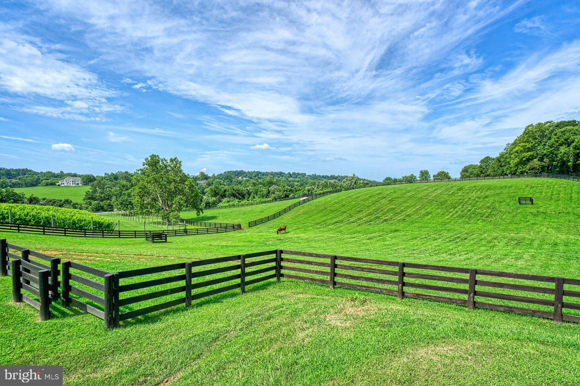 BEACON HILL - Residential
