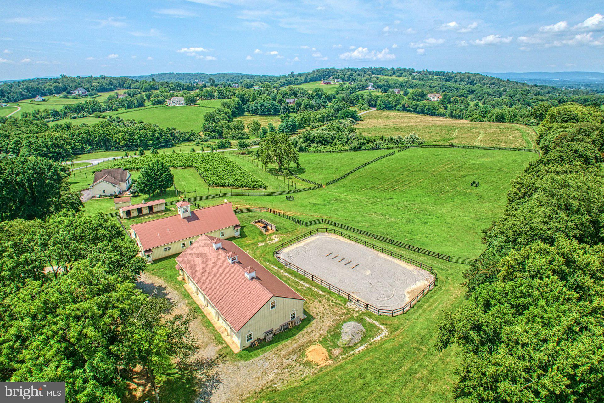 BEACON HILL - Residential