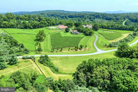 40954 CANTER LANE PAEONIAN SPRINGS VA 20129