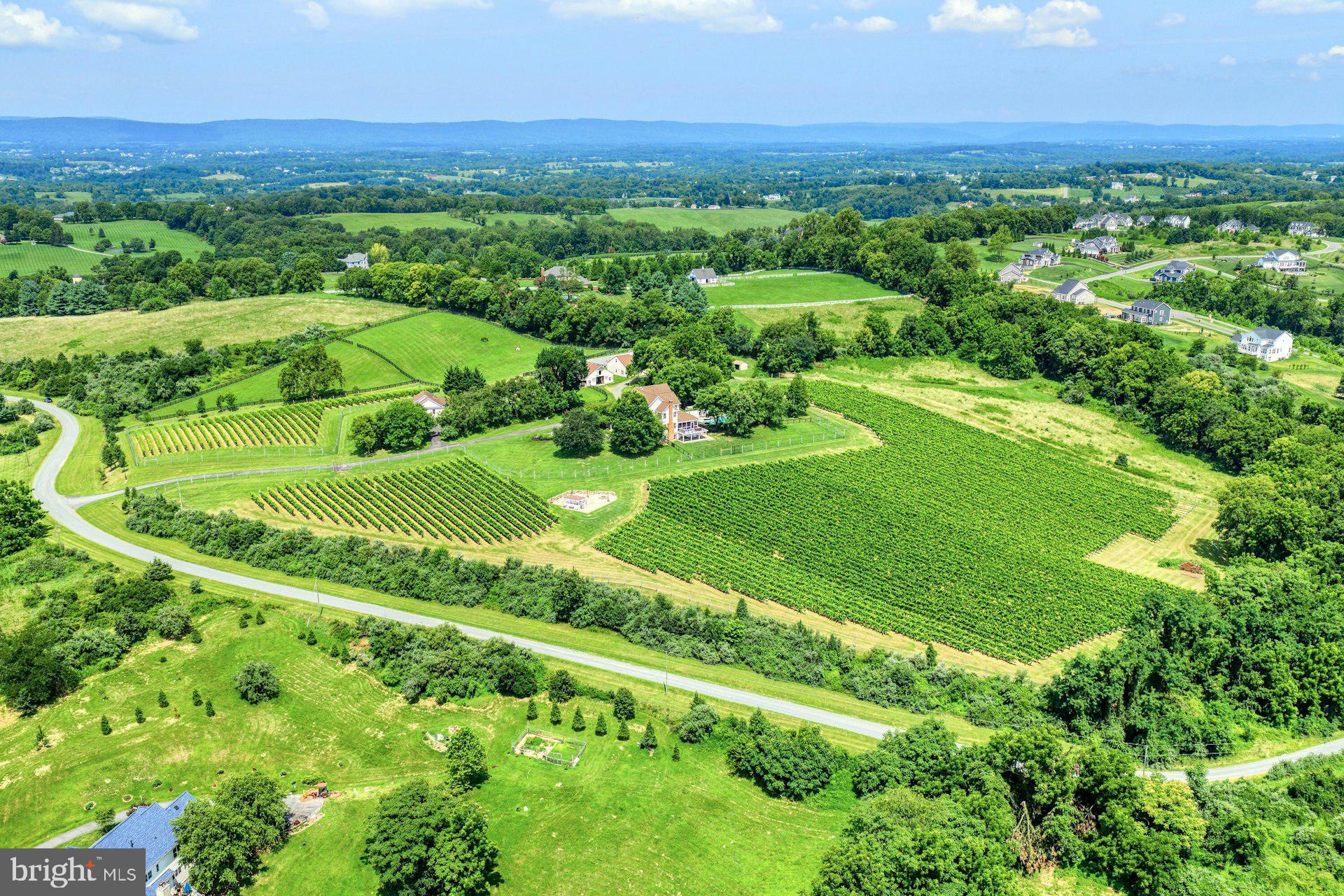 BEACON HILL - Residential