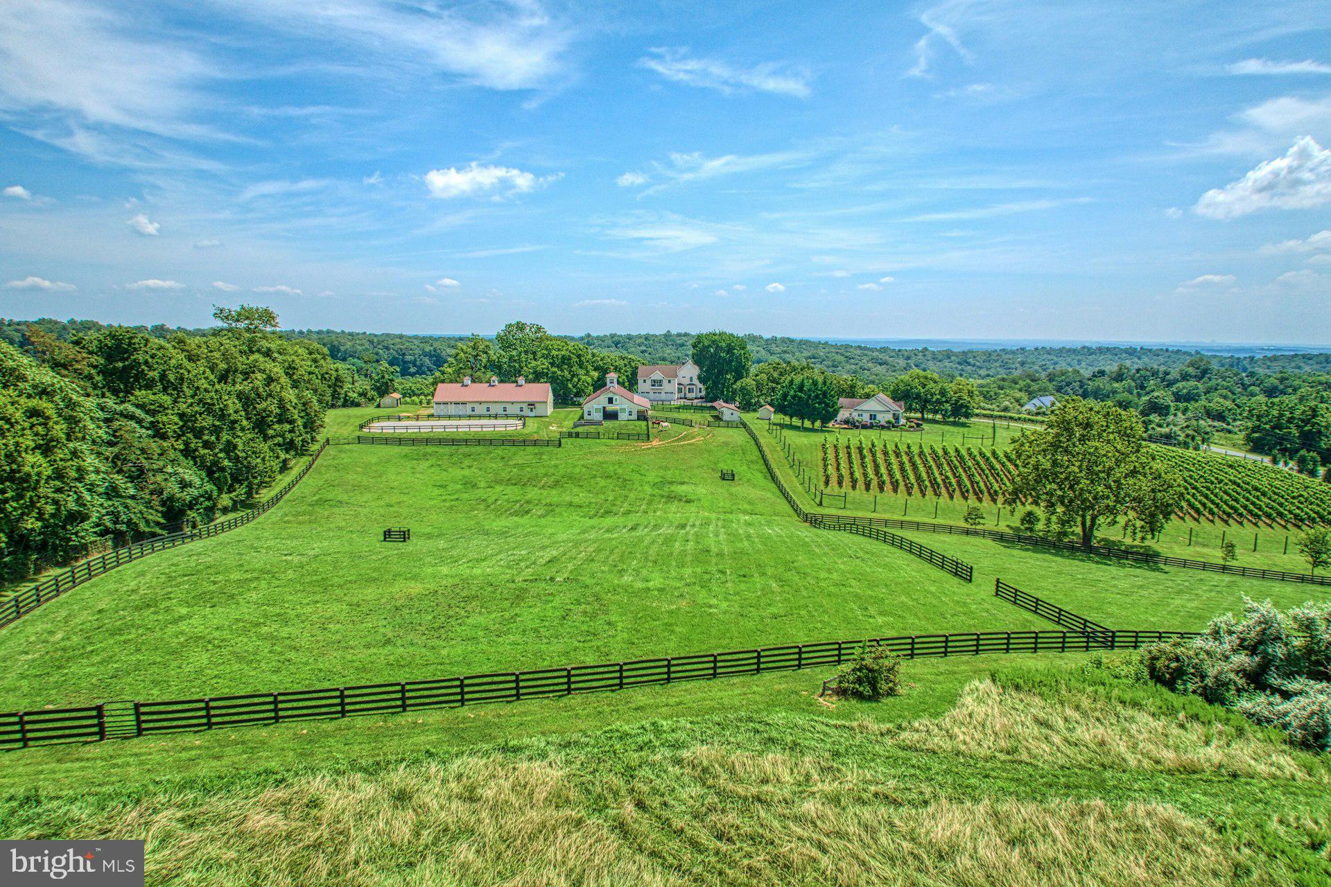BEACON HILL - Residential