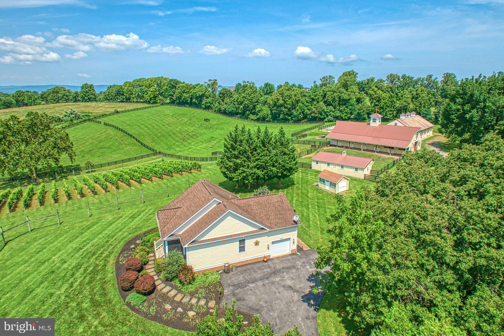 BEACON HILL - Residential