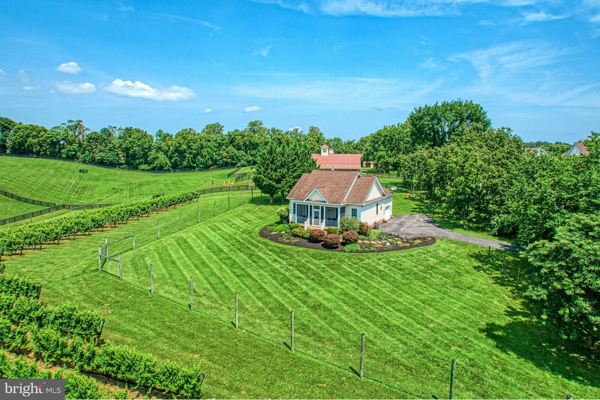 BEACON HILL - Residential