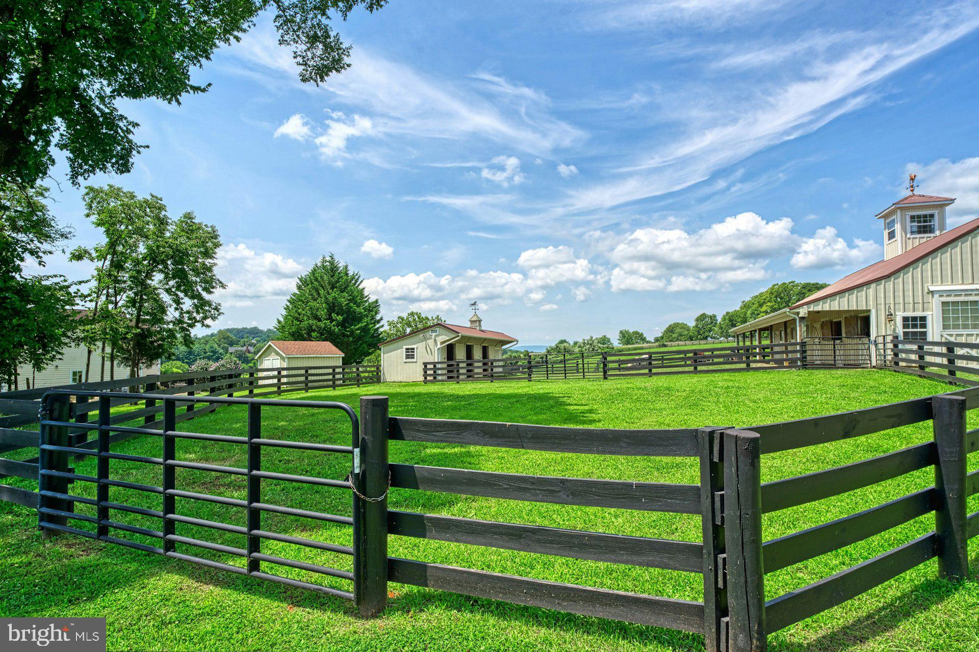 BEACON HILL - Residential